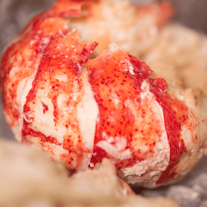 Gourmet Maine Lobster Tail Meat - Frozen