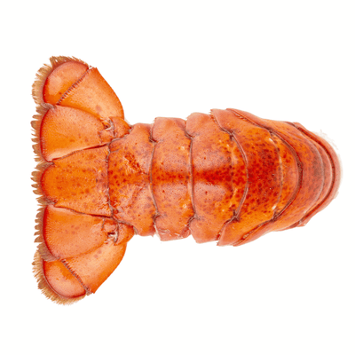 Lobster Tails Atlantic Cold Water For Sale (4/5oz each) Flash Frozen