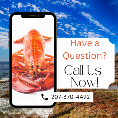 Buy 10 Fresh Maine Lobsters Get 1 Free (1.0-1.30lbs each)