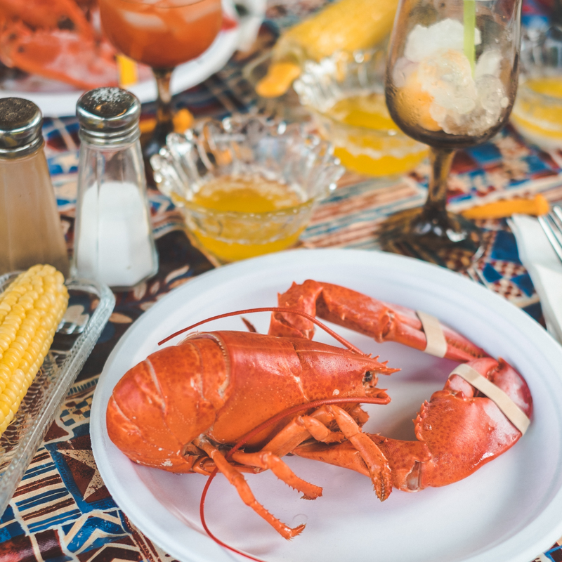 Buy 10 Fresh Maine Lobsters Get 1 Free (1.0-1.30lbs each)