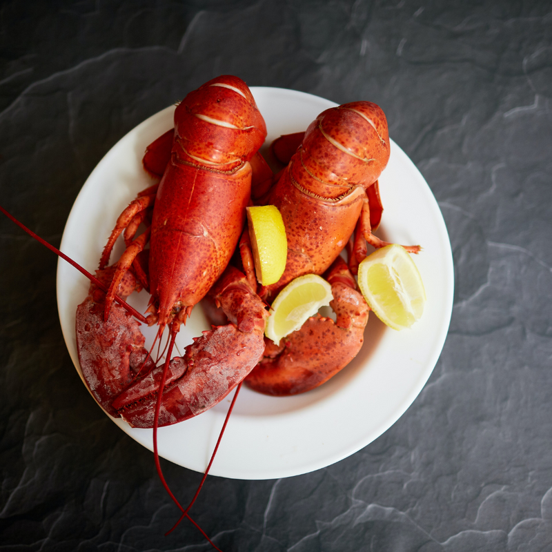 Buy 10 Fresh Maine Lobsters Get 1 Free (1.0-1.30lbs each)